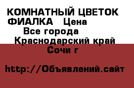 КОМНАТНЫЙ ЦВЕТОК -ФИАЛКА › Цена ­ 1 500 - Все города  »    . Краснодарский край,Сочи г.